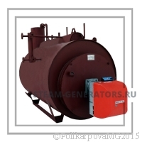 Паровой котел на газе